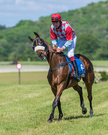 Race 5 - Novice riders (195 of 418)