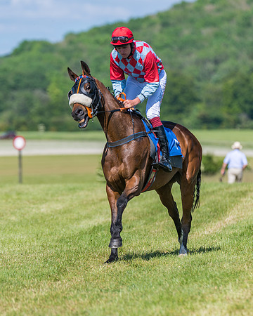 Race 5 - Novice riders (194 of 418)