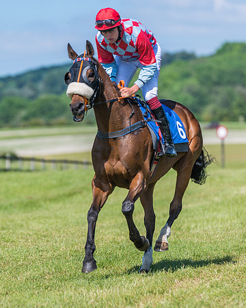 Race 5 - Novice riders (197 of 418)