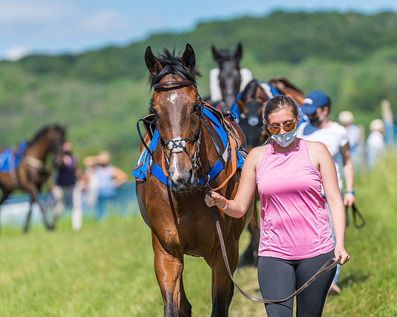 Race 5 - Novice riders (86 of 418)