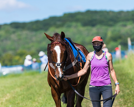 Race 6 - Open Maiden (5 of 201)