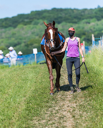 Race 6 - Open Maiden (3 of 201)