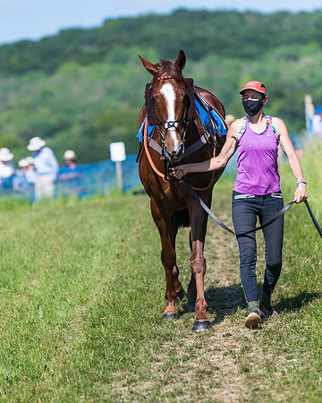 Race 6 - Open Maiden (4 of 201)