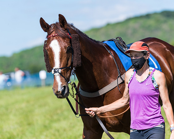 Race 6 - Open Maiden (6 of 201)