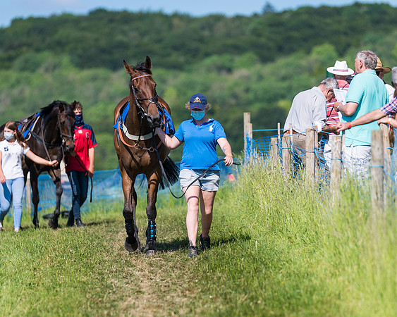 Race 6 - Open Maiden (7 of 201)