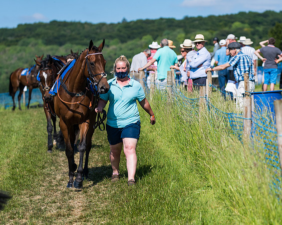 Race 6 - Open Maiden (13 of 201)