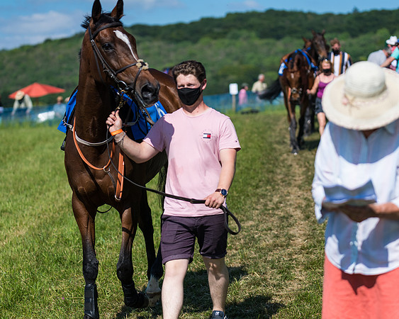 Race 6 - Open Maiden (16 of 201)