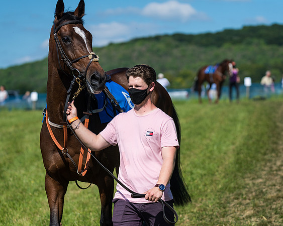 Race 6 - Open Maiden (17 of 201)