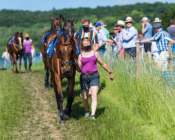 Race 6 - Open Maiden (18 of 201)