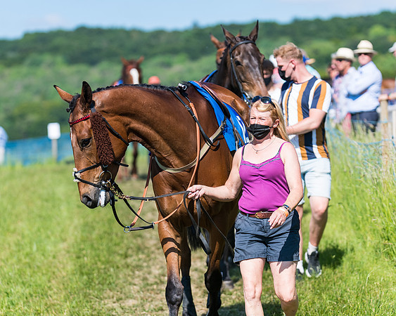 Race 6 - Open Maiden (19 of 201)