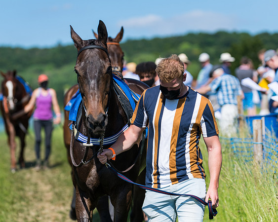Race 6 - Open Maiden (21 of 201)