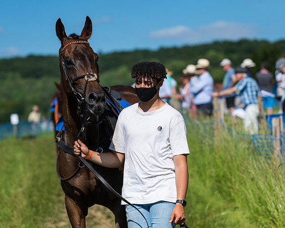 Race 6 - Open Maiden (25 of 201)