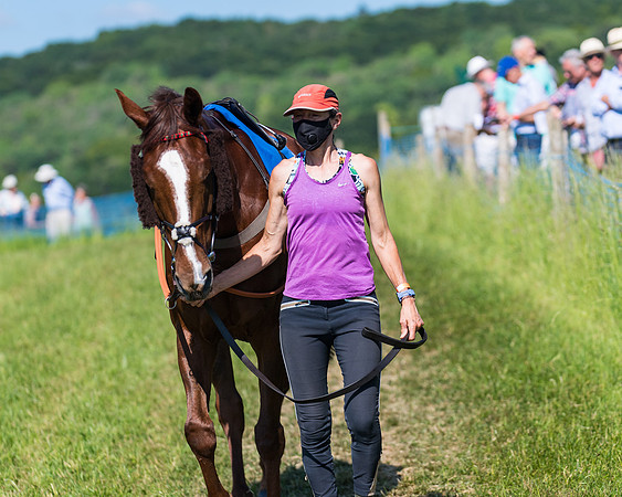 Race 6 - Open Maiden (27 of 201)