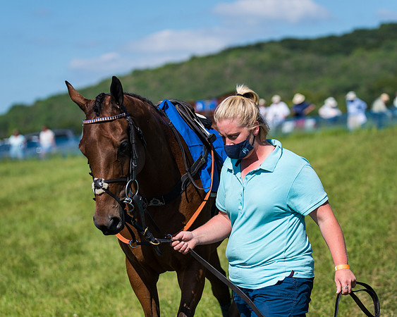 Race 6 - Open Maiden (29 of 201)
