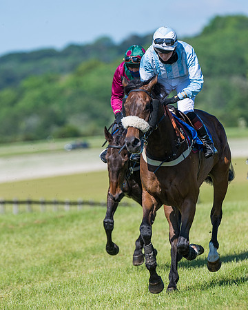 Race 6 - Open Maiden (36 of 201)