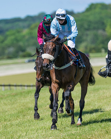 Race 6 - Open Maiden (37 of 201)