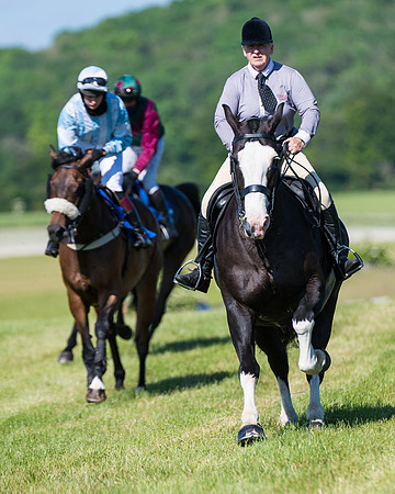 Race 6 - Open Maiden (34 of 201)