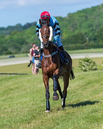 Race 6 - Open Maiden (43 of 201)