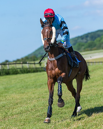 Race 6 - Open Maiden (44 of 201)