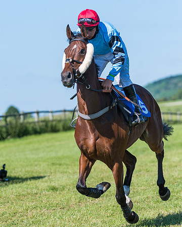 Race 6 - Open Maiden (46 of 201)
