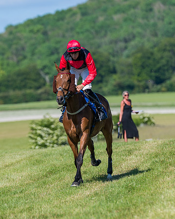 Race 6 - Open Maiden (48 of 201)
