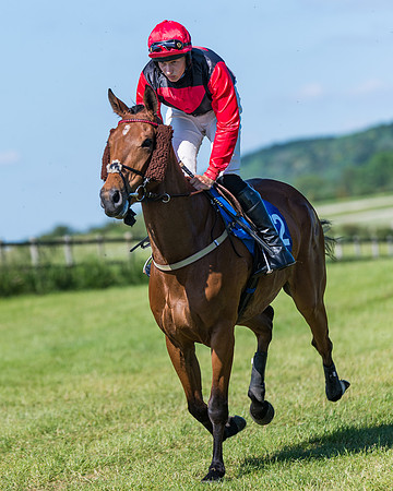 Race 6 - Open Maiden (53 of 201)