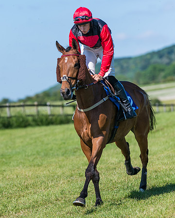 Race 6 - Open Maiden (52 of 201)