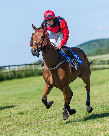 Race 6 - Open Maiden (54 of 201)
