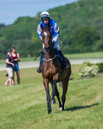 Race 6 - Open Maiden (56 of 201)