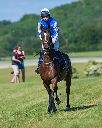 Race 6 - Open Maiden (57 of 201)