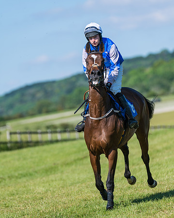 Race 6 - Open Maiden (59 of 201)