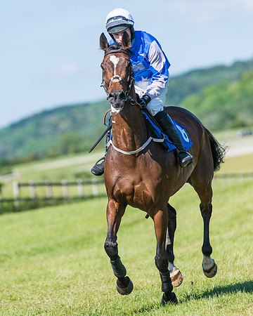 Race 6 - Open Maiden (60 of 201)