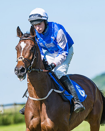 Race 6 - Open Maiden (62 of 201)