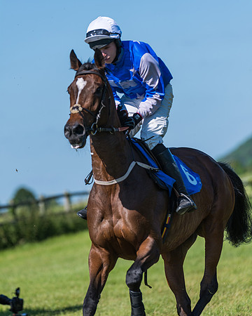 Race 6 - Open Maiden (63 of 201)