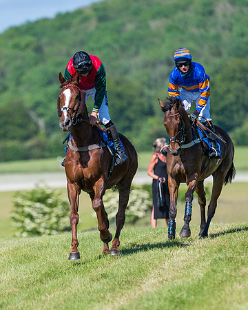 Race 6 - Open Maiden (65 of 201)