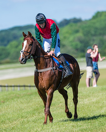 Race 6 - Open Maiden (67 of 201)