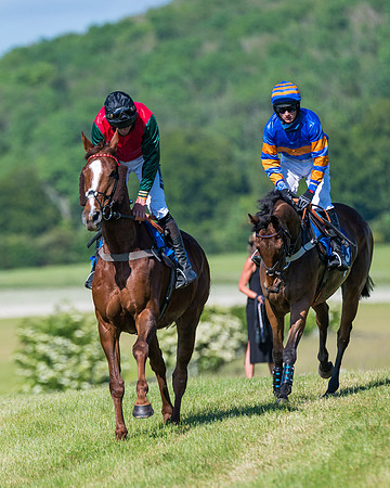 Race 6 - Open Maiden (66 of 201)