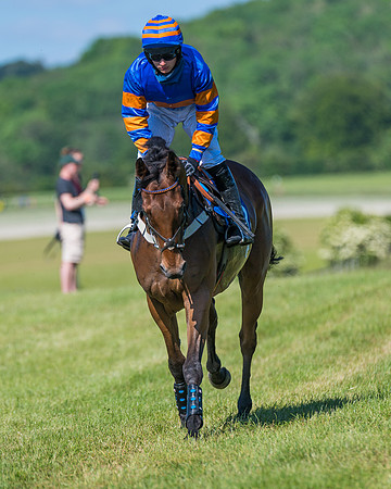 Race 6 - Open Maiden (68 of 201)