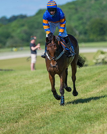 Race 6 - Open Maiden (69 of 201)