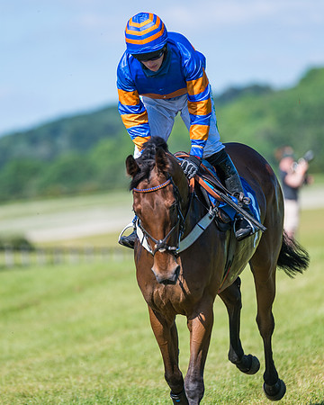 Race 6 - Open Maiden (70 of 201)