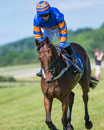 Race 6 - Open Maiden (71 of 201)