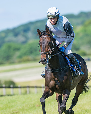Race 6 - Open Maiden (74 of 201)