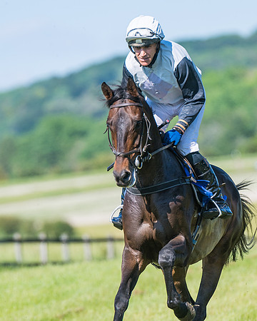 Race 6 - Open Maiden (75 of 201)
