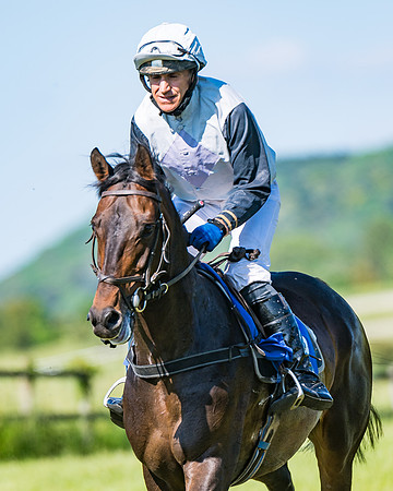 Race 6 - Open Maiden (77 of 201)