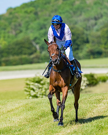 Race 6 - Open Maiden (81 of 201)