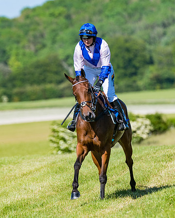 Race 6 - Open Maiden (82 of 201)