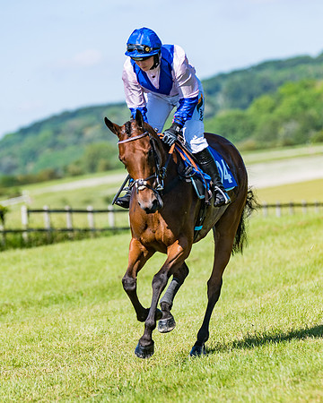 Race 6 - Open Maiden (83 of 201)