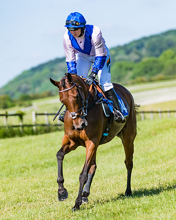 Race 6 - Open Maiden (84 of 201)