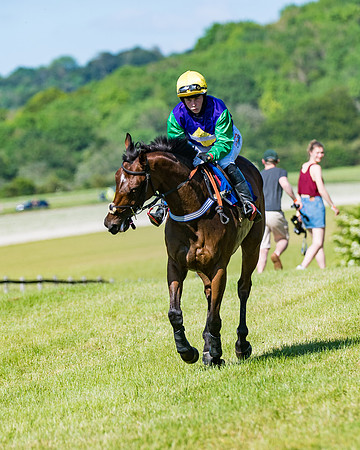 Race 6 - Open Maiden (85 of 201)