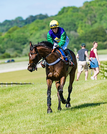 Race 6 - Open Maiden (86 of 201)